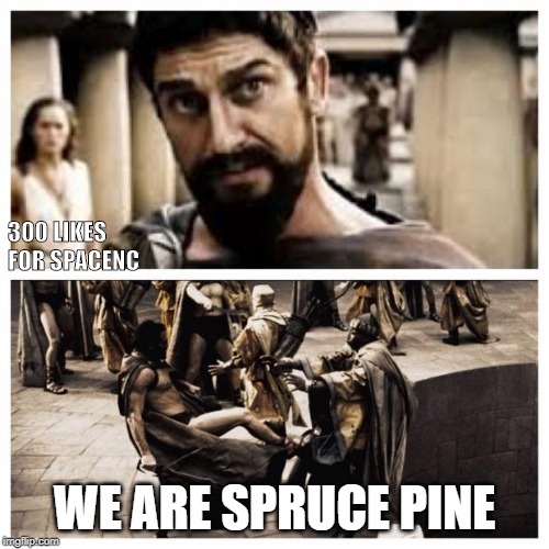 300 | 300 LIKES FOR SPACENC; WE ARE SPRUCE PINE | image tagged in 300 | made w/ Imgflip meme maker