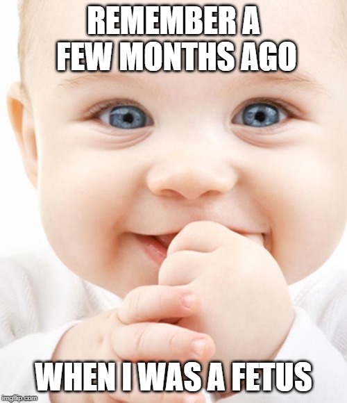 Cute Baby | REMEMBER A FEW MONTHS AGO; WHEN I WAS A FETUS | image tagged in cute baby | made w/ Imgflip meme maker