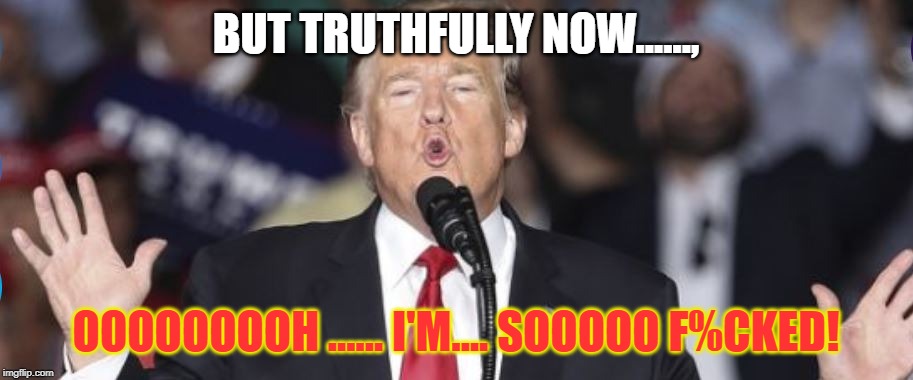 sooooo F%CKED | BUT TRUTHFULLY NOW......, OOOOOOOOH ...... I'M.... SOOOOO F%CKED! | image tagged in donald trump | made w/ Imgflip meme maker