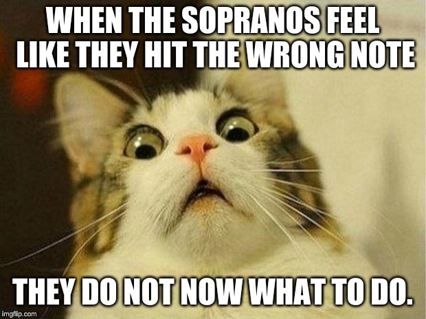 Scared Cat | WHEN THE SOPRANOS FEEL LIKE THEY HIT THE WRONG NOTE; THEY DO NOT NOW WHAT TO DO. | image tagged in memes,scared cat | made w/ Imgflip meme maker