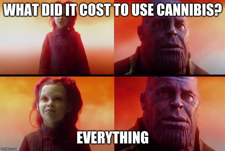 thanos what did it cost | WHAT DID IT COST TO USE CANNIBIS? EVERYTHING | image tagged in thanos what did it cost | made w/ Imgflip meme maker