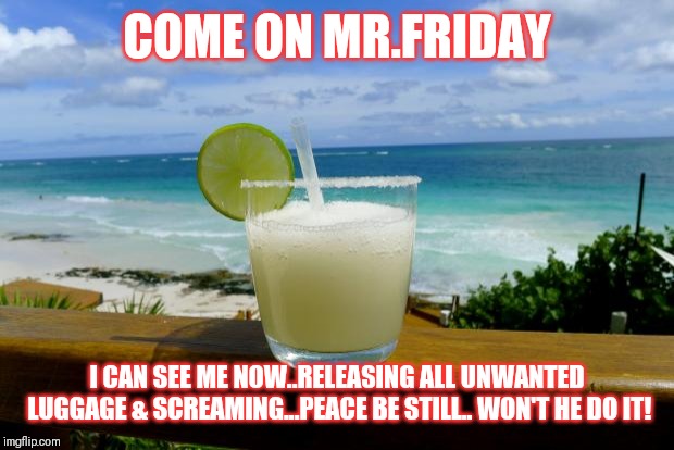 Jroc113 | COME ON MR.FRIDAY; I CAN SEE ME NOW..RELEASING ALL UNWANTED LUGGAGE & SCREAMING...PEACE BE STILL.. WON'T HE DO IT! | image tagged in margarita on the beach | made w/ Imgflip meme maker