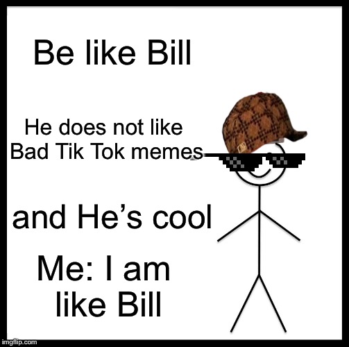 Be Like Bill Meme | Be like Bill; He does not like Bad Tik Tok memes; and He’s cool; Me: I am like Bill | image tagged in memes,be like bill | made w/ Imgflip meme maker