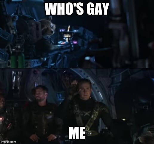 Avengers Endgame | WHO'S GAY; ME | image tagged in avengers endgame | made w/ Imgflip meme maker