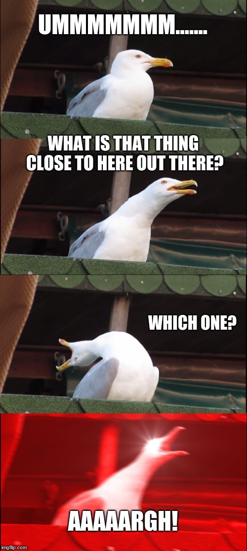 Inhaling Seagull Meme | UMMMMMMM....... WHAT IS THAT THING CLOSE TO HERE OUT THERE? WHICH ONE? AAAAARGH! | image tagged in memes,inhaling seagull | made w/ Imgflip meme maker