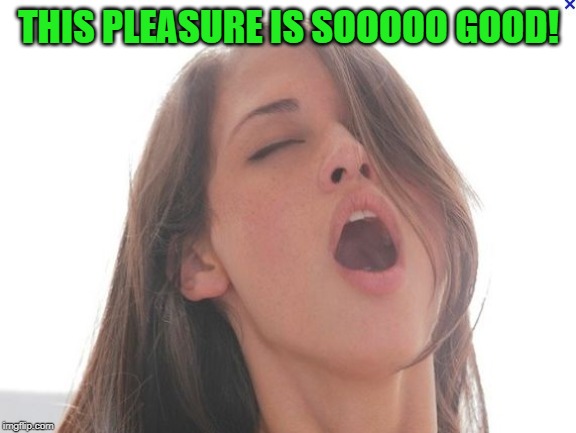 Pleasure girl | THIS PLEASURE IS SOOOOO GOOD! | image tagged in pleasure girl | made w/ Imgflip meme maker