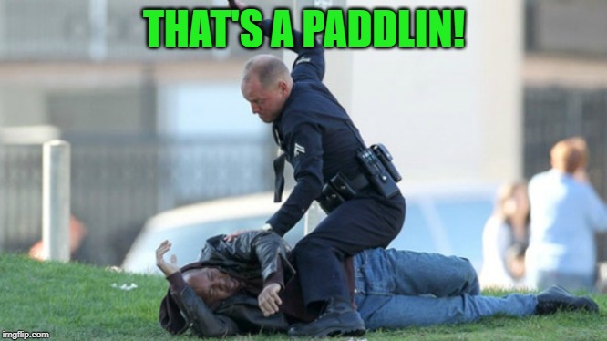 Cop Beating | THAT'S A PADDLIN! | image tagged in cop beating | made w/ Imgflip meme maker