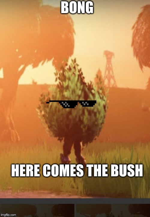 Here I come | BONG; HERE COMES THE BUSH | image tagged in fortnite bush | made w/ Imgflip meme maker