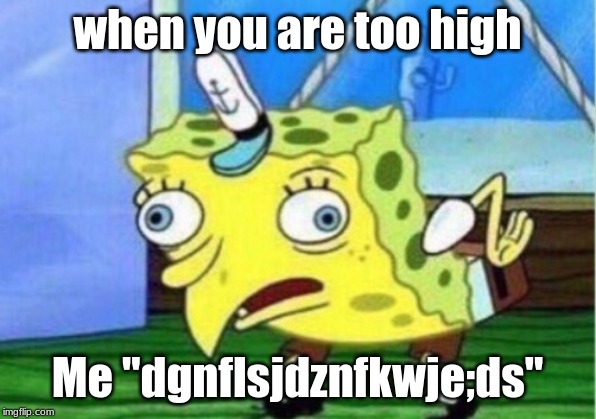 Mocking Spongebob Meme | when you are too high; Me "dgnflsjdznfkwje;ds" | image tagged in memes,mocking spongebob | made w/ Imgflip meme maker