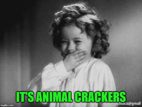 Shirley Temple Laughing | IT'S ANIMAL CRACKERS | image tagged in shirley temple laughing | made w/ Imgflip meme maker