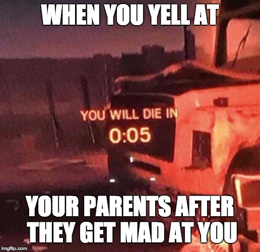 You will die in 0:05 | WHEN YOU YELL AT; YOUR PARENTS AFTER THEY GET MAD AT YOU | image tagged in you will die in 005 | made w/ Imgflip meme maker