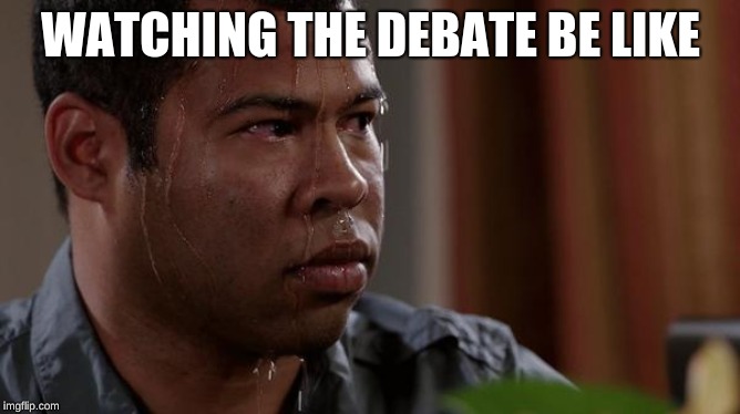 sweating bullets | WATCHING THE DEBATE BE LIKE | image tagged in sweating bullets | made w/ Imgflip meme maker
