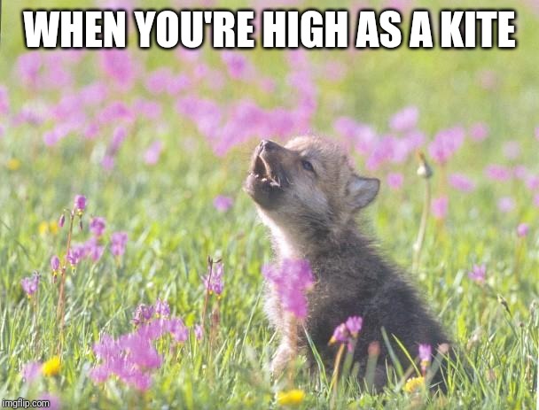 Baby Insanity Wolf Meme | WHEN YOU'RE HIGH AS A KITE | image tagged in memes,baby insanity wolf | made w/ Imgflip meme maker