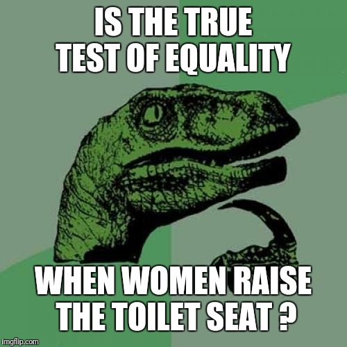 Philosoraptor Meme | IS THE TRUE TEST OF EQUALITY; WHEN WOMEN RAISE THE TOILET SEAT ? | image tagged in memes,philosoraptor | made w/ Imgflip meme maker