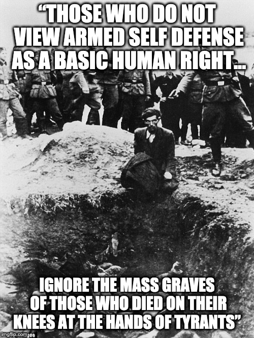 Basic Human Rights | “THOSE WHO DO NOT VIEW ARMED SELF DEFENSE AS A BASIC HUMAN RIGHT... IGNORE THE MASS GRAVES OF THOSE WHO DIED ON THEIR KNEES AT THE HANDS OF TYRANTS” | image tagged in human rights,gun control,second amendment | made w/ Imgflip meme maker