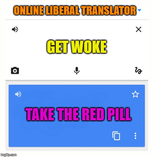 Google Translate | ONLINE LIBERAL TRANSLATOR GET WOKE TAKE THE RED PILL | image tagged in google translate | made w/ Imgflip meme maker