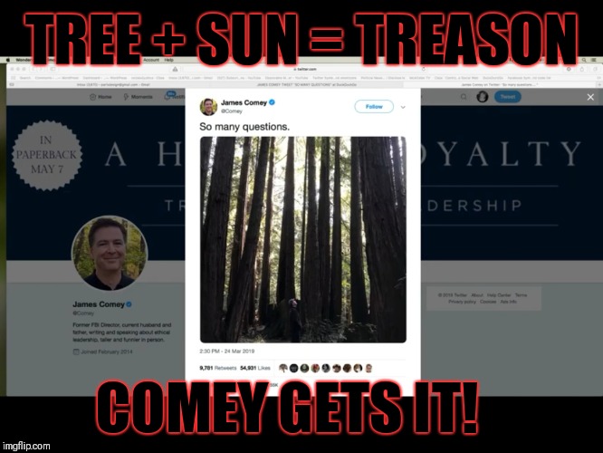 Comey knows what is coming! | TREE + SUN = TREASON; COMEY GETS IT! | image tagged in treason,government corruption,gitmo,execution,james comey | made w/ Imgflip meme maker