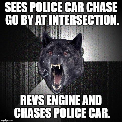 Chasing cops, not the mailman. | SEES POLICE CAR CHASE GO BY AT INTERSECTION. REVS ENGINE AND CHASES POLICE CAR. | image tagged in memes,insanity wolf,police,chase,cop,car | made w/ Imgflip meme maker
