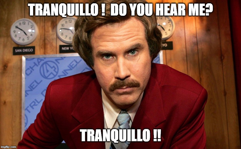 tranquillo tranquilo ron burgundy | TRANQUILLO !  DO YOU HEAR ME? TRANQUILLO !! | image tagged in i'm ron burgundy,ron burgundy | made w/ Imgflip meme maker