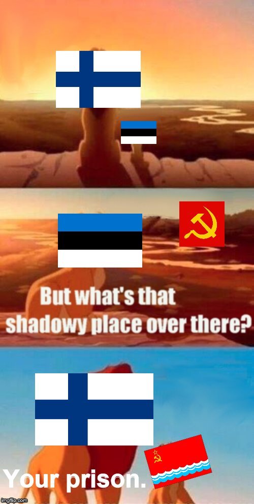 Estonia's Life | image tagged in simba shadowy place,prison,estonia,cold war | made w/ Imgflip meme maker