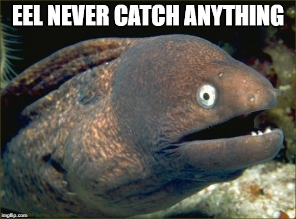 Bad Joke Eel Meme | EEL NEVER CATCH ANYTHING | image tagged in memes,bad joke eel | made w/ Imgflip meme maker
