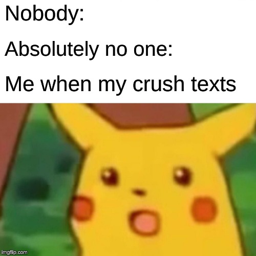 Surprised Pikachu Meme | Nobody:; Absolutely no one:; Me when my crush texts | image tagged in memes,surprised pikachu | made w/ Imgflip meme maker