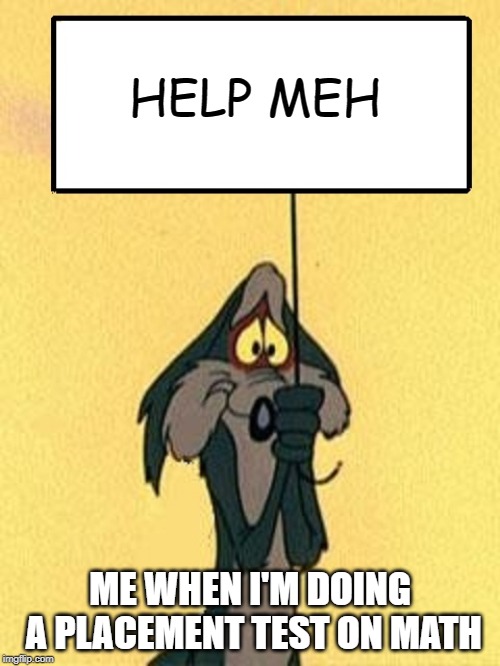 Coyote | HELP MEH; ME WHEN I'M DOING A PLACEMENT TEST ON MATH | image tagged in coyote | made w/ Imgflip meme maker