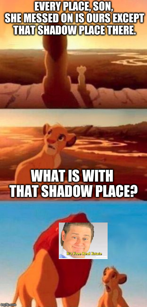 simba | EVERY PLACE, SON, SHE MESSED ON IS OURS EXCEPT THAT SHADOW PLACE THERE. WHAT IS WITH THAT SHADOW PLACE? | image tagged in simba | made w/ Imgflip meme maker