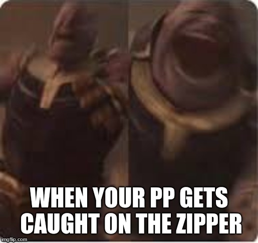 WHEN YOUR PP GETS CAUGHT ON THE ZIPPER | image tagged in memes | made w/ Imgflip meme maker
