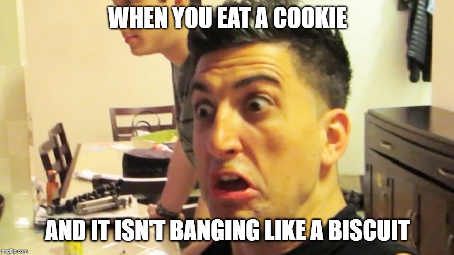 Jesse Wellens | WHEN YOU EAT A COOKIE; AND IT ISN'T BANGING LIKE A BISCUIT | image tagged in jesse wellens,bfvsgf,prankvsprank | made w/ Imgflip meme maker