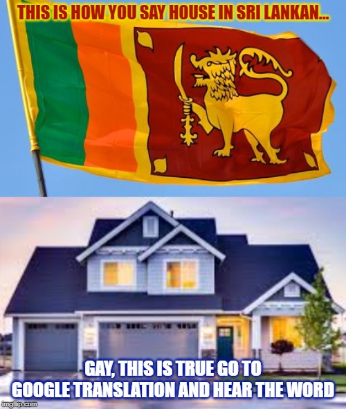 Sri Lankan Gay = House | THIS IS HOW YOU SAY HOUSE IN SRI LANKAN... GAY, THIS IS TRUE GO TO GOOGLE TRANSLATION AND HEAR THE WORD | image tagged in sri lanka,house,gay | made w/ Imgflip meme maker