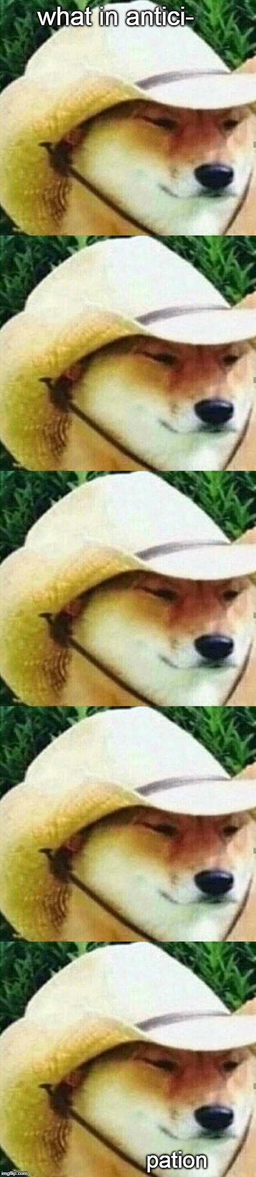 what in antici- pation | image tagged in what in tarnation | made w/ Imgflip meme maker