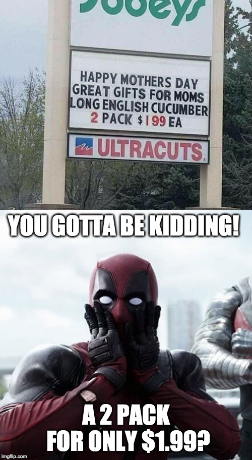 YOU GOTTA BE KIDDING! A 2 PACK FOR ONLY $1.99? | image tagged in memes,deadpool surprised,happy mother's day | made w/ Imgflip meme maker