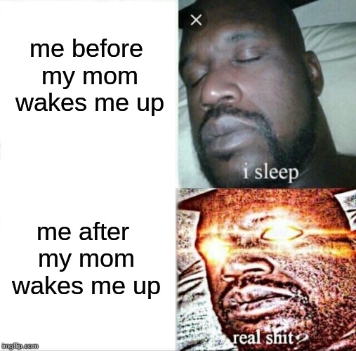 don't wake me up...
unlease its important. | me before my mom wakes me up; me after my mom wakes me up | image tagged in memes,sleeping shaq | made w/ Imgflip meme maker