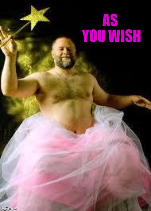 fairy man | AS YOU WISH | image tagged in fairy man | made w/ Imgflip meme maker