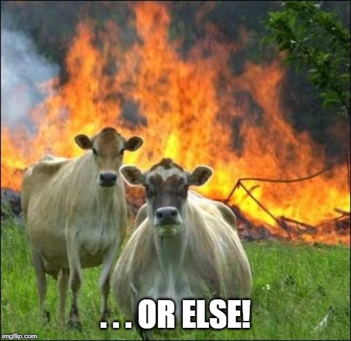 Evil Cows Meme | . . . OR ELSE! | image tagged in memes,evil cows | made w/ Imgflip meme maker