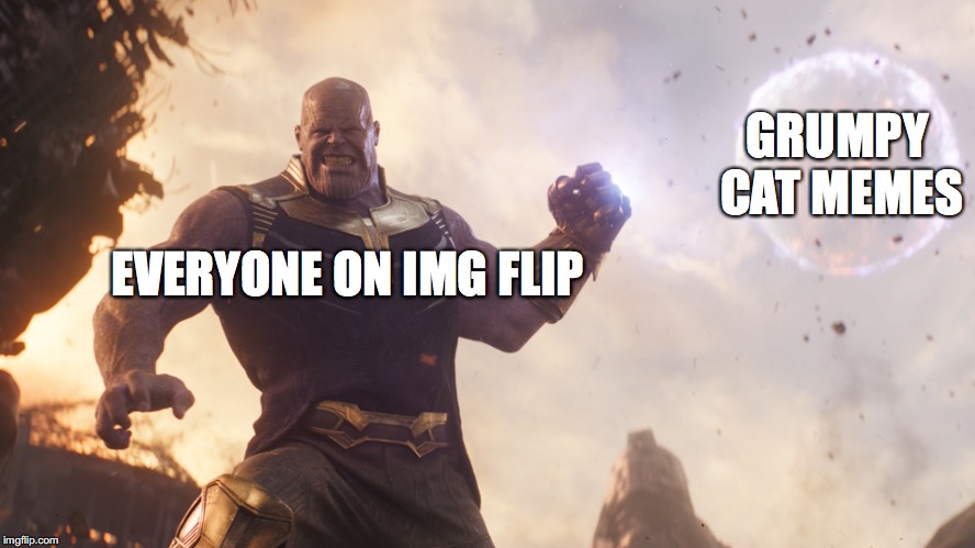 thanos | GRUMPY CAT MEMES; EVERYONE ON IMG FLIP | image tagged in thanos | made w/ Imgflip meme maker
