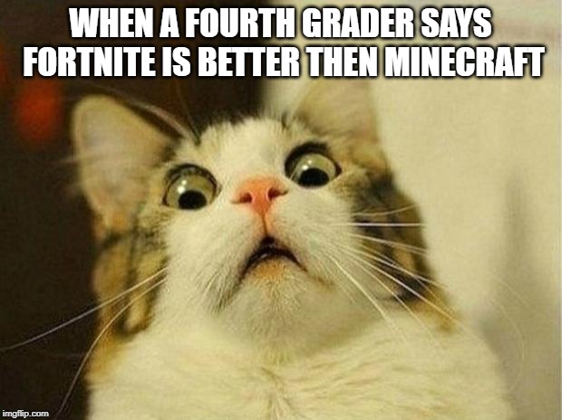 Scared Cat Meme | WHEN A FOURTH GRADER SAYS FORTNITE IS BETTER THEN MINECRAFT | image tagged in memes,scared cat | made w/ Imgflip meme maker