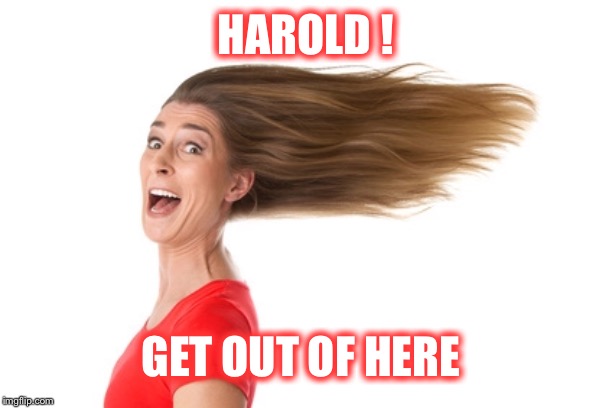 HAROLD ! GET OUT OF HERE | made w/ Imgflip meme maker