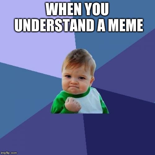 Success Kid Meme | WHEN YOU UNDERSTAND A MEME | image tagged in memes,success kid | made w/ Imgflip meme maker