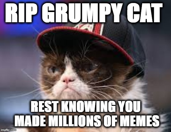 RIP Grumpy | RIP GRUMPY CAT; REST KNOWING YOU MADE MILLIONS OF MEMES | image tagged in grumpy cat | made w/ Imgflip meme maker