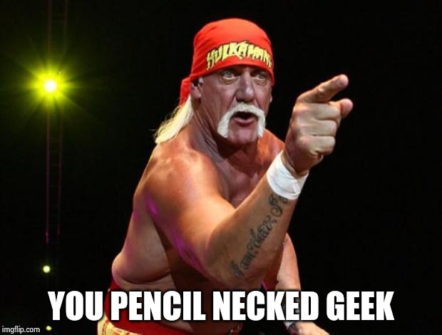Hulk Hogan | YOU PENCIL NECKED GEEK | image tagged in hulk hogan | made w/ Imgflip meme maker