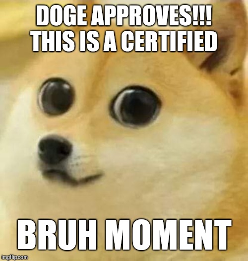 DOGE APPROVES!!! THIS IS A CERTIFIED; BRUH MOMENT | image tagged in doge | made w/ Imgflip meme maker