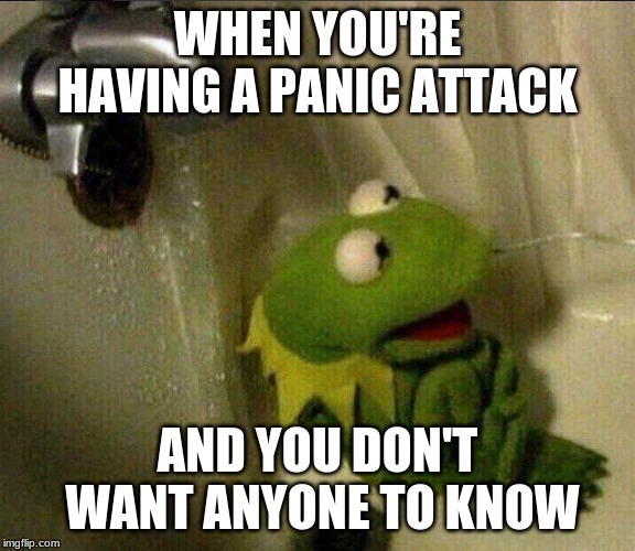 Kermit Suicide | WHEN YOU'RE HAVING A PANIC ATTACK; AND YOU DON'T WANT ANYONE TO KNOW | image tagged in kermit suicide | made w/ Imgflip meme maker