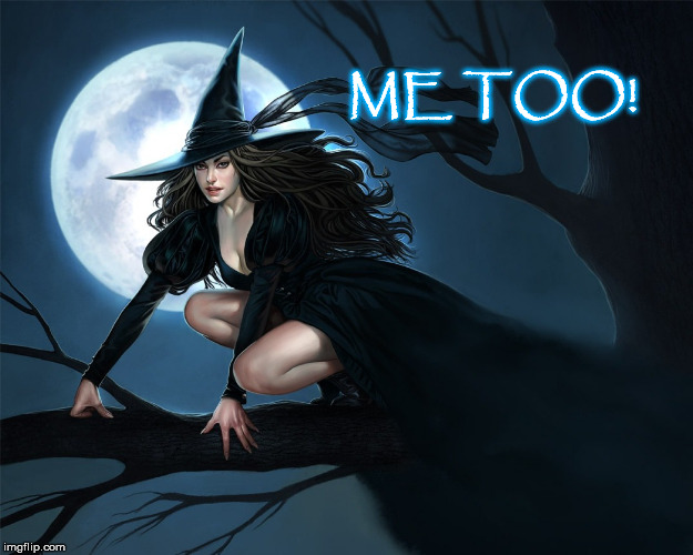 Witch Hunt | ME TOO! | image tagged in witch hunt | made w/ Imgflip meme maker