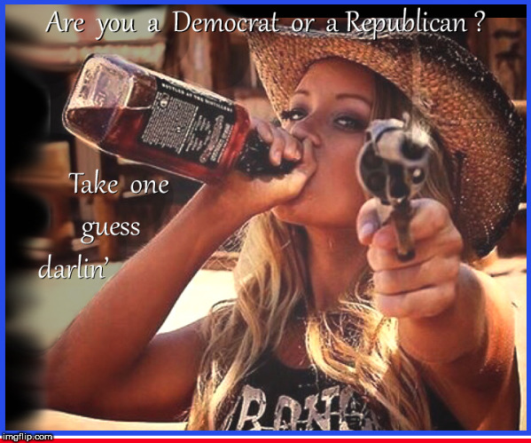Are you a Republican or Democrat? | image tagged in republicans,democrats,politics lol,lol so funny,girls with guns,babes | made w/ Imgflip meme maker
