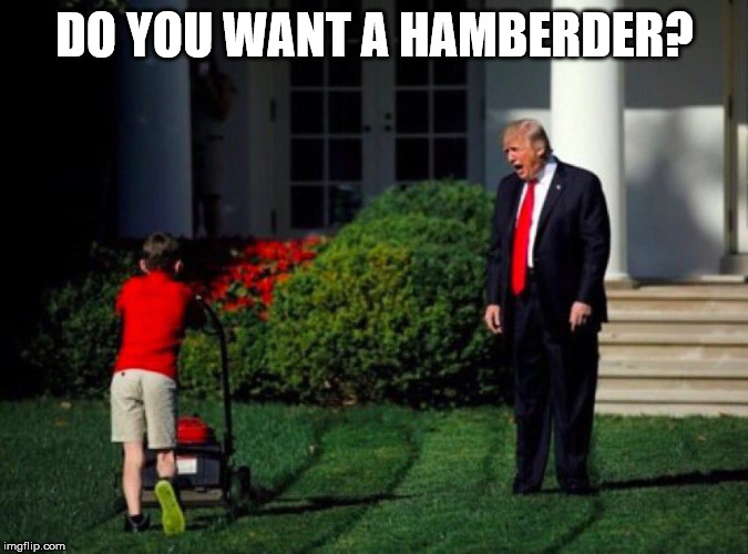 Trump yells at lawnmower kid | DO YOU WANT A HAMBERDER? | image tagged in trump yells at lawnmower kid | made w/ Imgflip meme maker