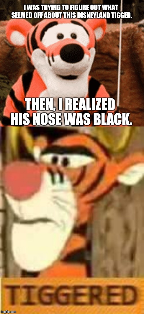 Triggered Tigger | I WAS TRYING TO FIGURE OUT WHAT SEEMED OFF ABOUT THIS DISNEYLAND TIGGER, THEN, I REALIZED HIS NOSE WAS BLACK. | image tagged in tuxedo winnie the pooh,triggered,triggered tigger,funny memes,disney,memes | made w/ Imgflip meme maker