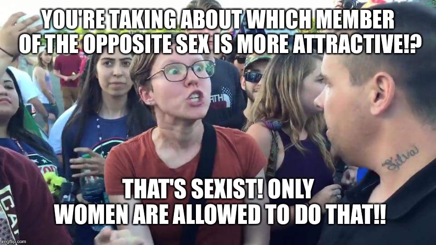 Triggered Feminazi | YOU'RE TAKING ABOUT WHICH MEMBER OF THE OPPOSITE SEX IS MORE ATTRACTIVE!? THAT'S SEXIST! ONLY WOMEN ARE ALLOWED TO DO THAT!! | image tagged in triggered feminazi | made w/ Imgflip meme maker