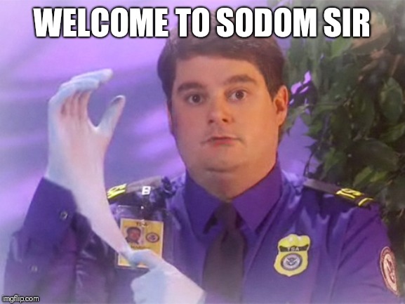 TSA Douche | WELCOME TO SODOM SIR | image tagged in memes,tsa douche | made w/ Imgflip meme maker